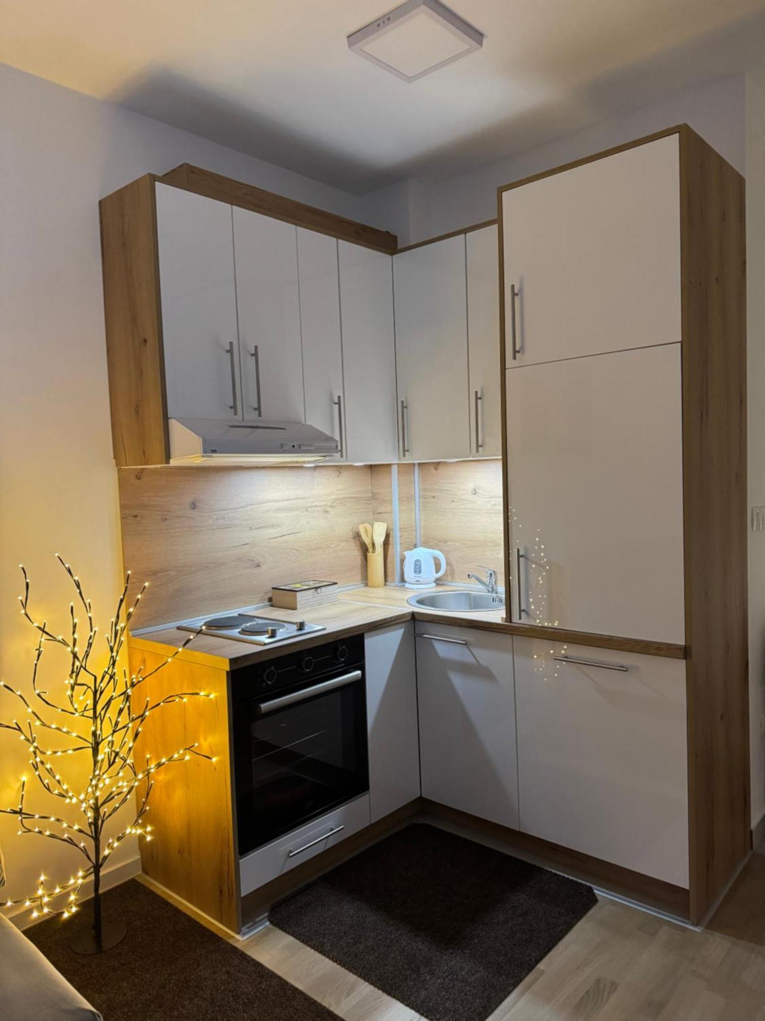 Bjelasnica Apartman Cezar Buitenkant foto